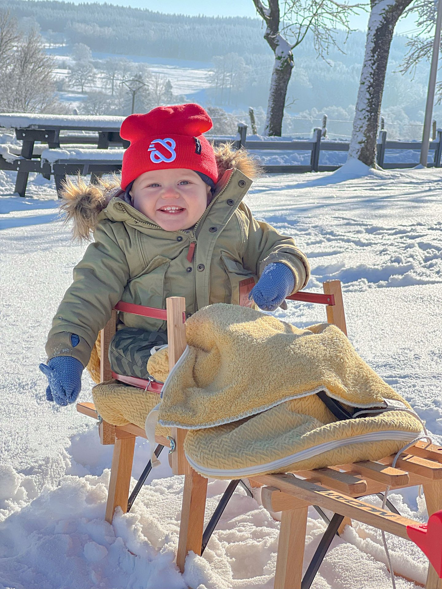 Backrest for Wooden Sledge